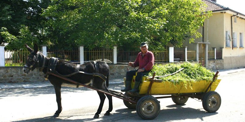 човек с каруца